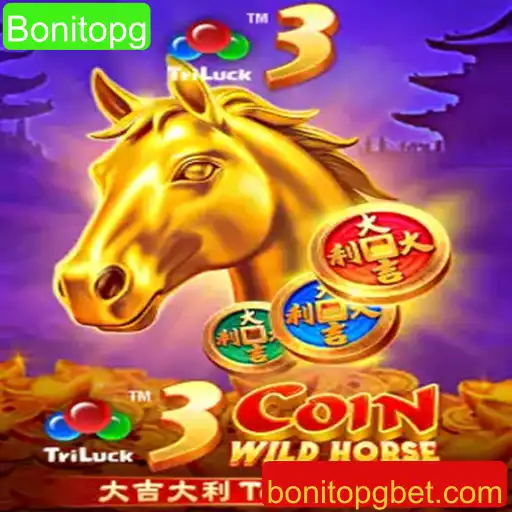 Descubra o Mundo Empolgante de 3CoinWildHorse