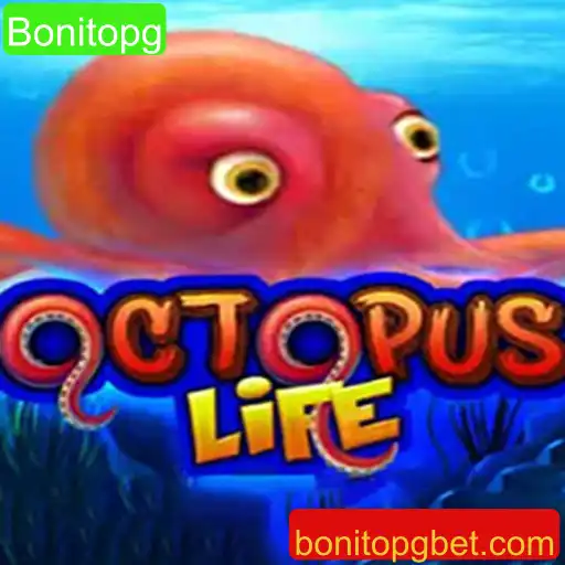 Descubra o Mundo Fascinante de OctopusLife